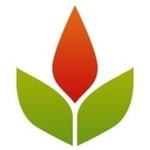 Company Logo of LinkHelpers Design