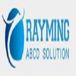 Company Logo of RayMing Technology