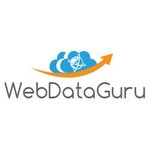 Company Logo of WebDataGuru