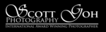 Company Logo of Scott Goh Photography