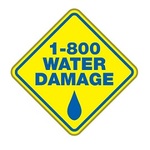 Company Logo of 1-800 WATER DAMAGE