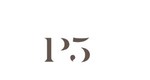 Company Logo of P5