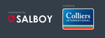 Company Logo of salboy-colliers