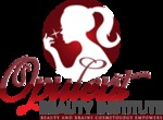 Company Logo of Opulent Beauty Institute