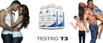 Company Logo of Testro T3