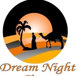 Company Logo of Dream Night Tour