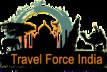 Company Logo of Travel Force India